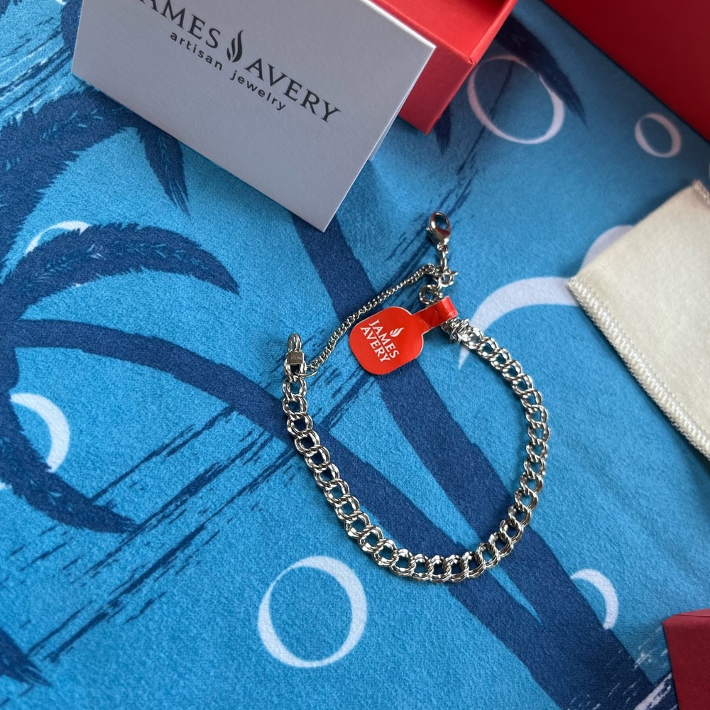 Light Double Curb Charm Bracelet